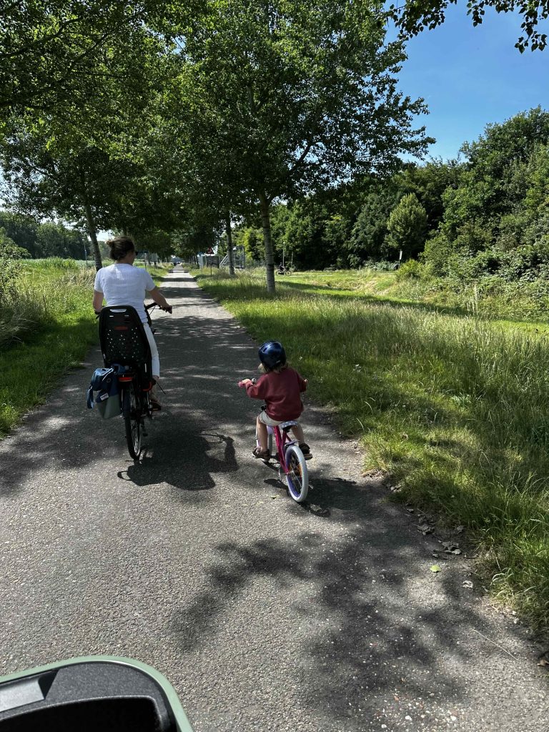 Top 5 fietsstoeltjes voor op een stadsfiets (2025 update)